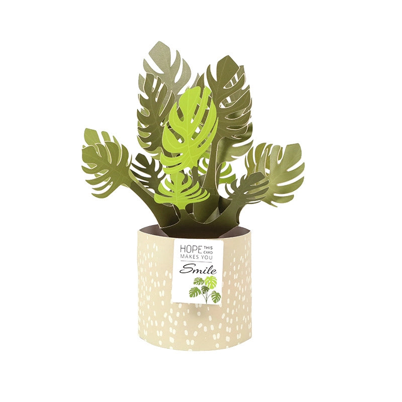 Perfect for Plant Lovers